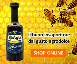Mielagro - Condimento a base di Miele e Aceto di Miele - il buon insaporitore dal gusto agrodolce